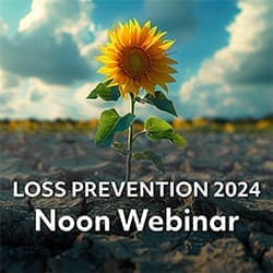loss prevention 2024 noon webinar